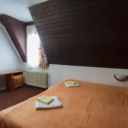 Hotel Srebrnac Gostinjska kuća Kopaonik